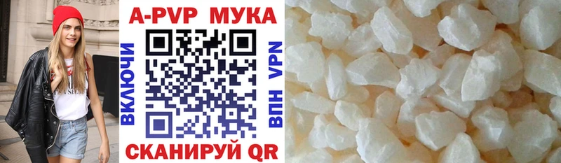 Alfa_PVP СК КРИС Геленджик