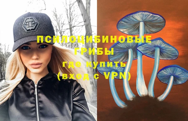 шишки Алексин