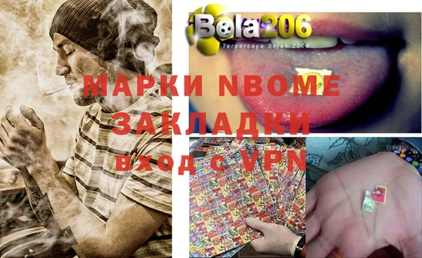 шишки Алексин