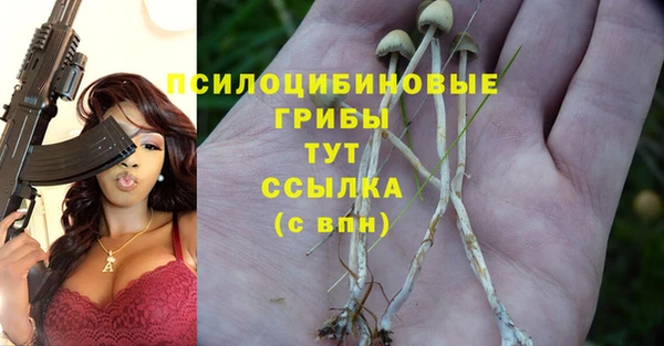 MESCALINE Алзамай