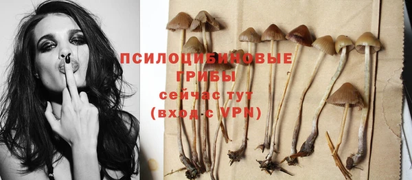MESCALINE Алзамай