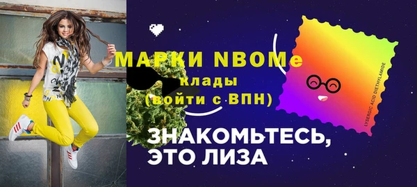 шишки Алексин