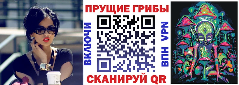 даркнет официальный сайт Геленджик Псилоцибиновые грибы мухоморы
