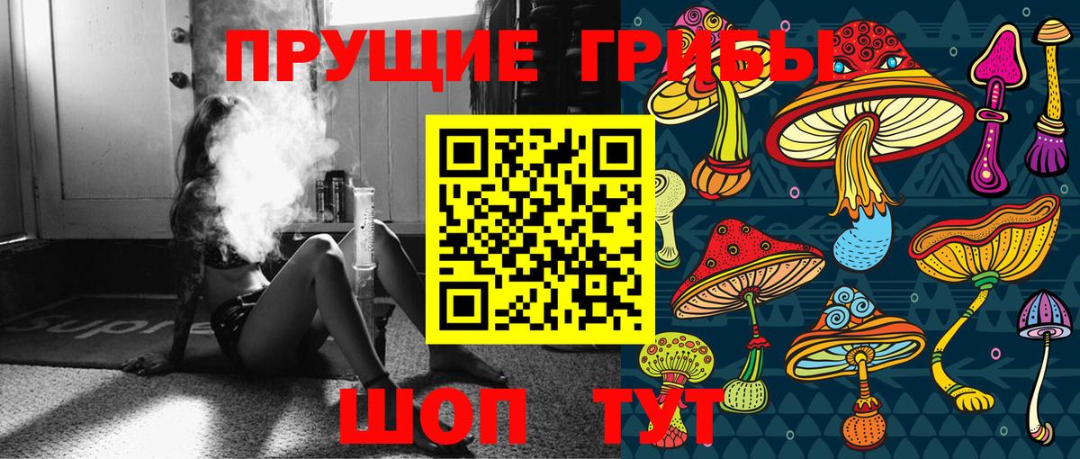 Геленджик  Псилоцибиновые грибы GOLDEN TEACHER  Вход с VPN 